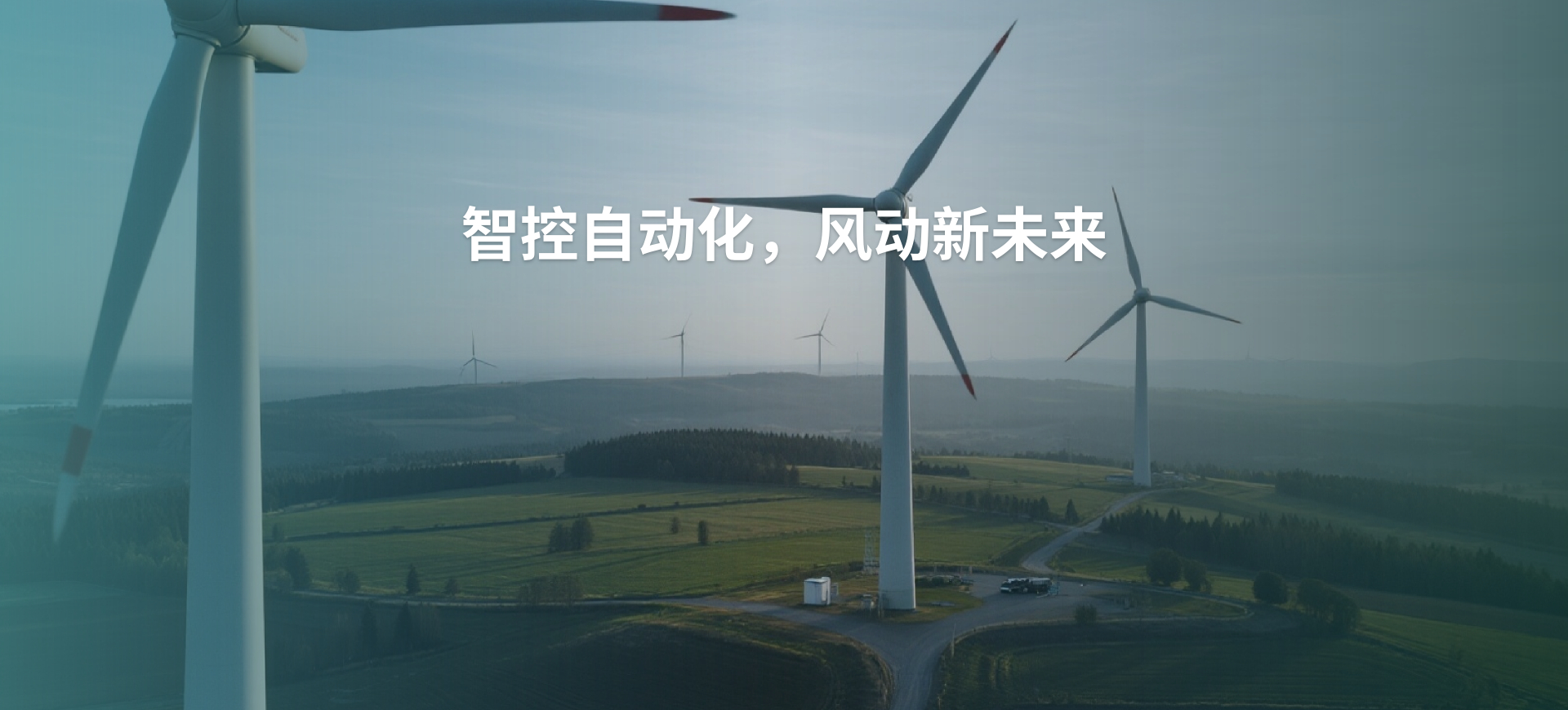 图片2